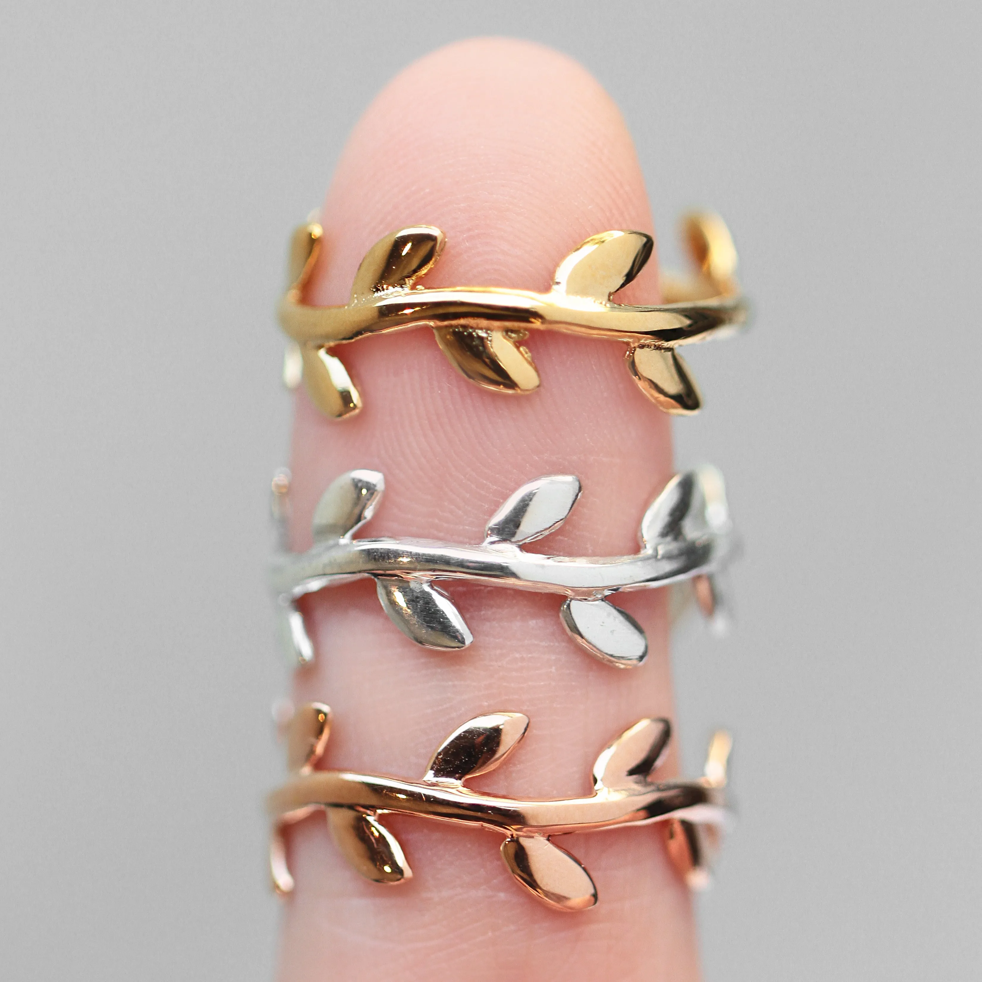 Anillo Laurel