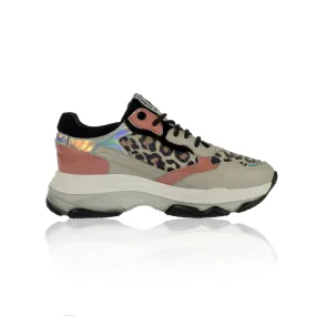 MATT-AM N49BB Ostra-Coral